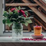 Why Your Skin Craves a Natural Protein Drink (And How to Choose the Right One)