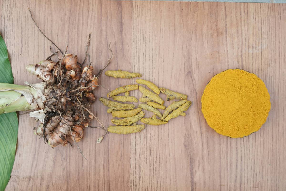 Why Your Skin Craves an Organic Smoothie (And How to Make One That Actually Works)