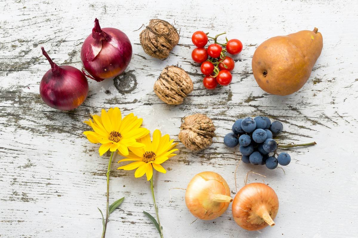 Why Your Skin Craves an Organic Wellness Beverage (And How to Choose the Right One)