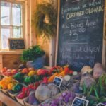 Why Your Organic Vegan Shake Blend Isn’t Working (And How to Fix It)